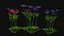 Flowers R10