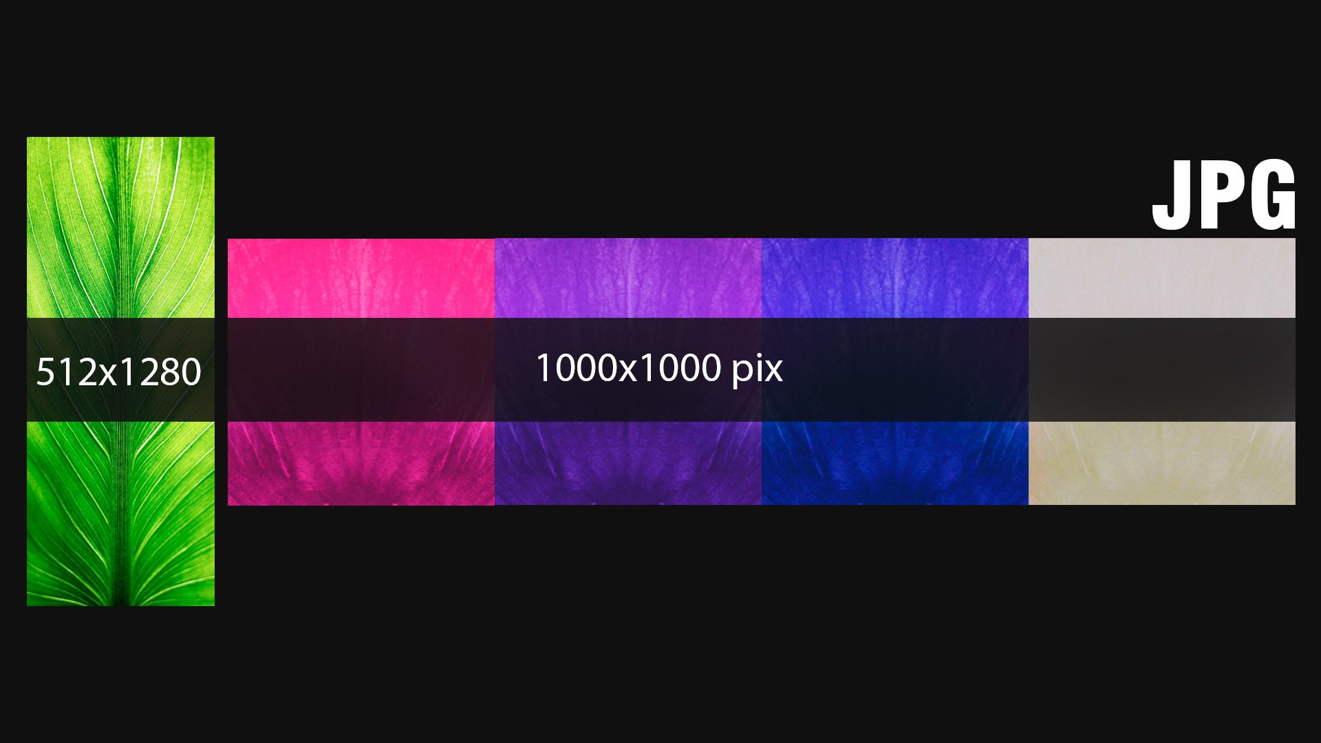 Flowers R10 3D https://p.turbosquid.com/ts-thumb/Qq/7yoBbI/ZG/flowersr101/jpg/1740161848/1920x1080/fit_q87/16adff68196ad0b4b36bd25fa1cc6617df200ad8/flowersr101.jpg
