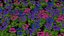 Flowers R10