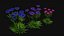 Flowers R10