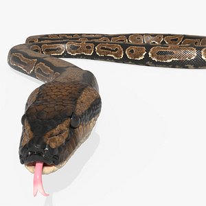 Natural Python Snake Rigged For Blender