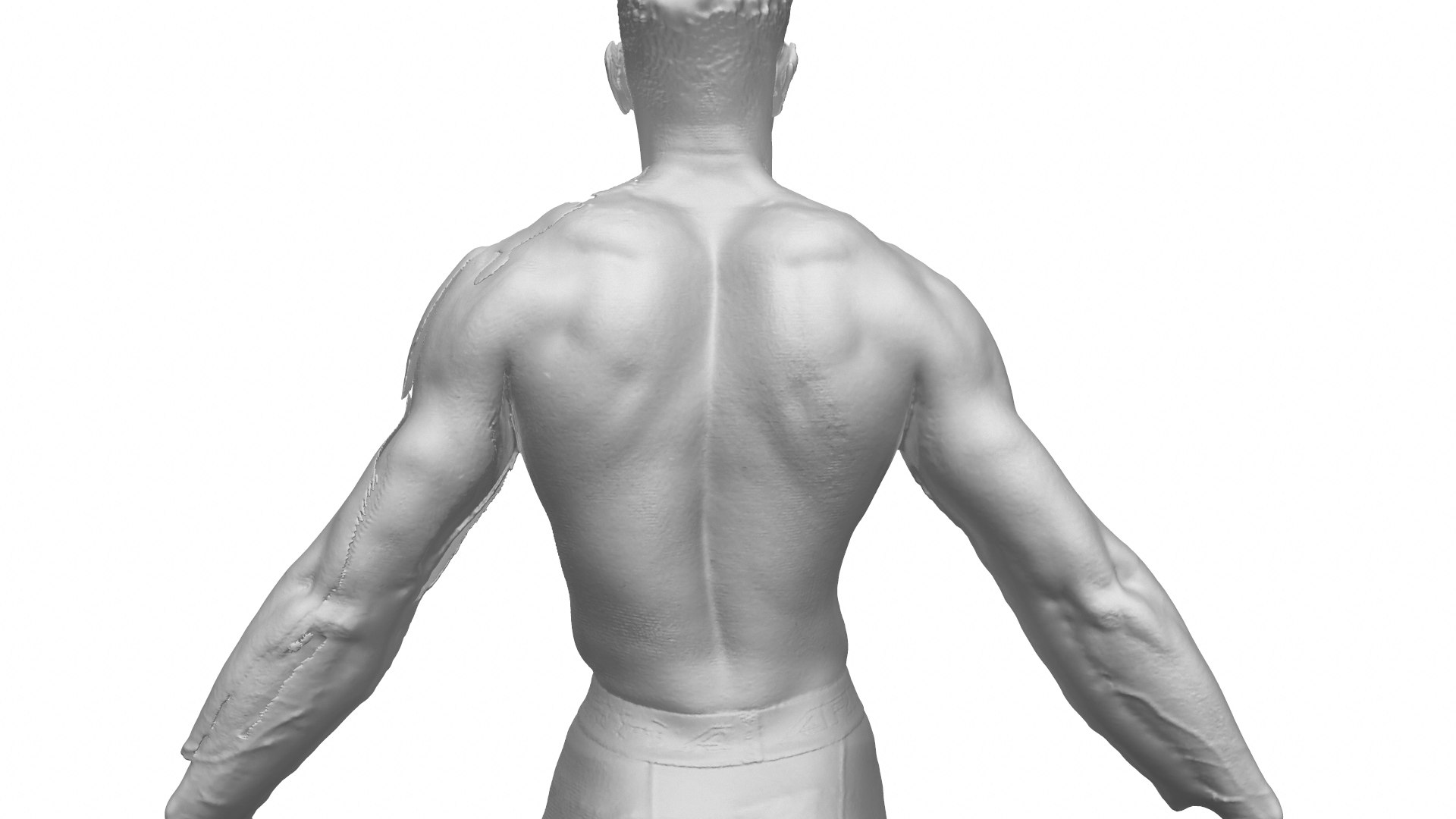 Human Body Scan Data 3D Model TurboSquid 1455362