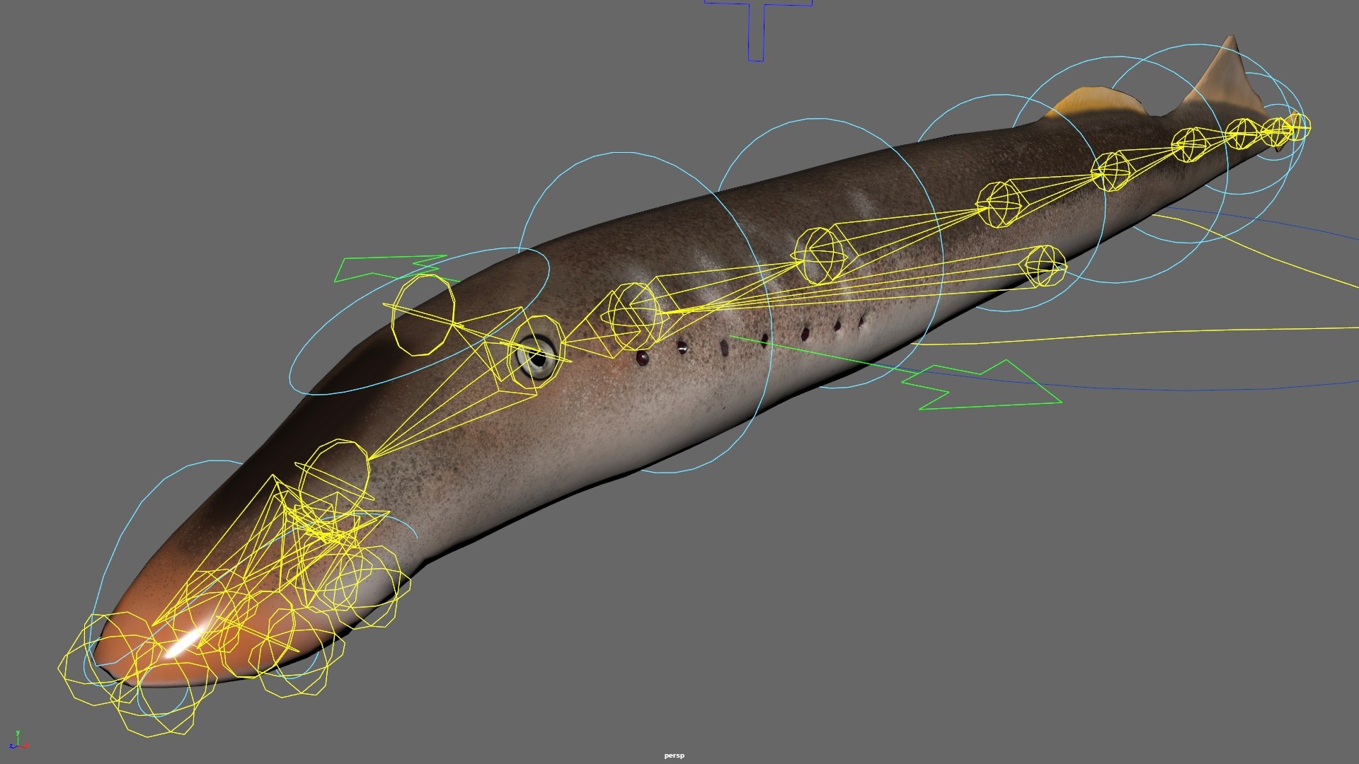 3D Lamprey Fish Swim Against Current Animated Rigged For Maya model https://p.turbosquid.com/ts-thumb/Qq/atY3PN/R6/lamprey_fish_swim_against_current_animated_rigged_for_maya_018/jpg/1783983954/1920x1080/fit_q87/196834d936649c394c7dd3a59a066a789d7ce753/lamprey_fish_swim_against_current_animated_rigged_for_maya_018.jpg