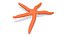 Red Starfish Lying Pose