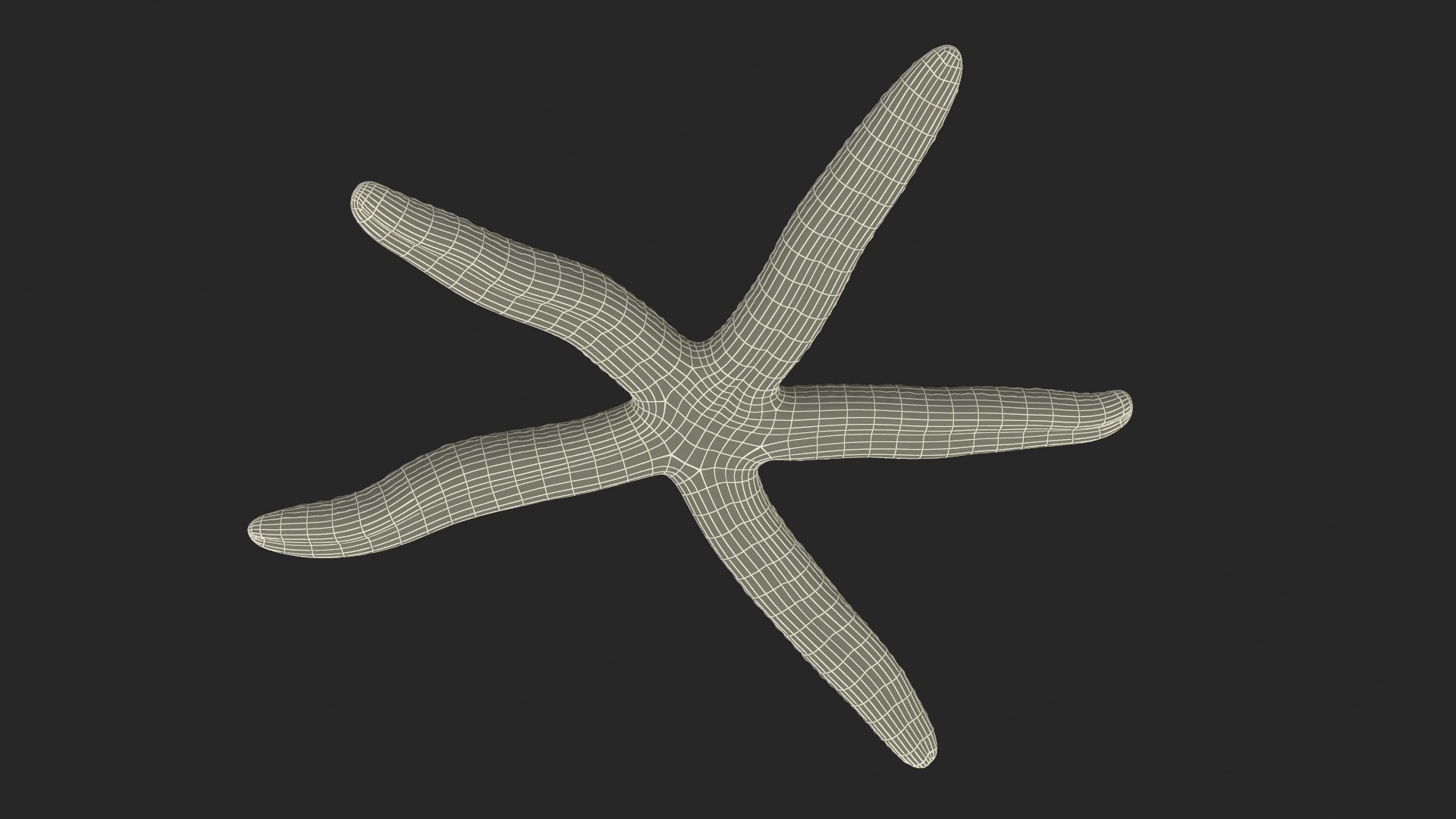 3D Red Starfish Lying Pose https://p.turbosquid.com/ts-thumb/Qq/jB3Ism/TX/redstarfishlyingposevray3dmodel018/jpg/1714593594/1920x1080/fit_q87/eef8017bc6bb27a6246a66d059124842f73724f8/redstarfishlyingposevray3dmodel018.jpg