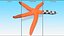 Red Starfish Lying Pose