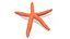 Red Starfish Lying Pose