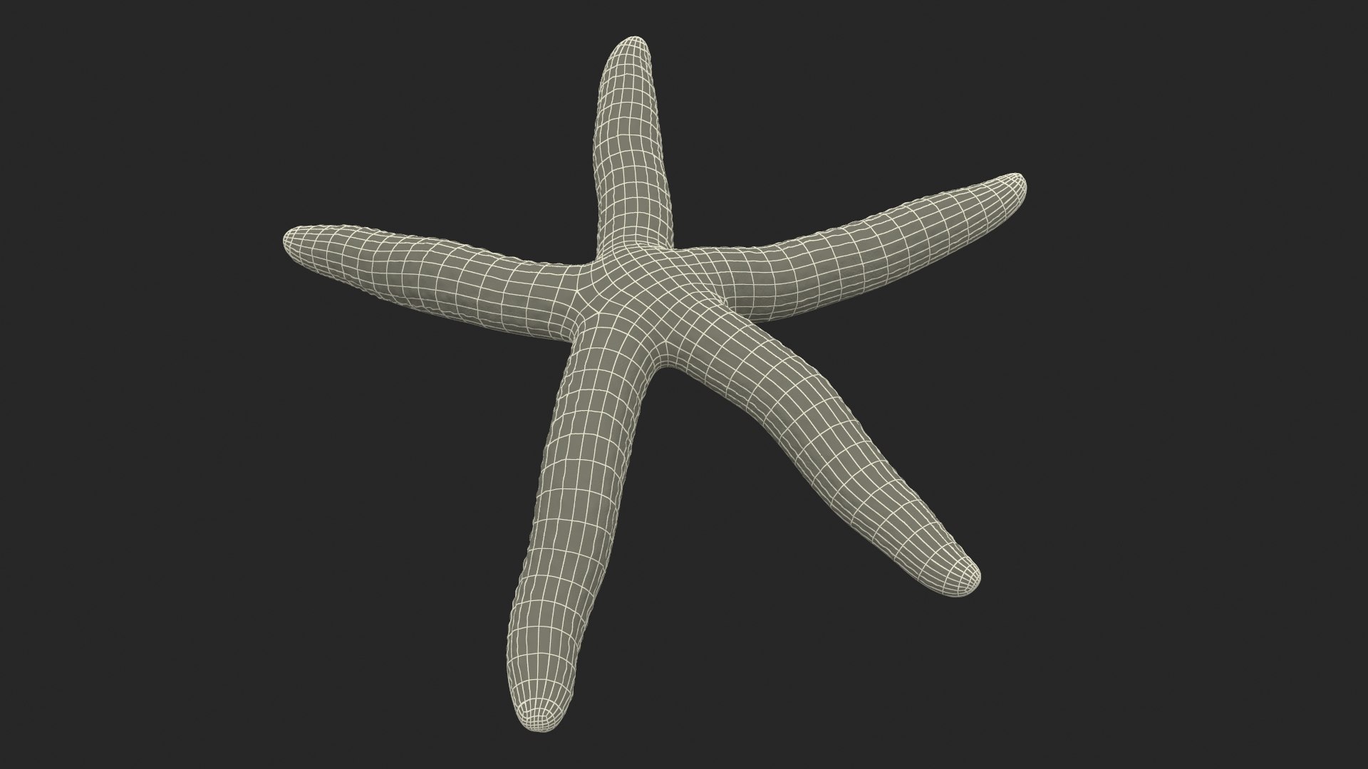 3D Red Starfish Lying Pose https://p.turbosquid.com/ts-thumb/Qq/jB3Ism/yA/redstarfishlyingposevray3dmodel017/jpg/1714593591/1920x1080/fit_q87/cca8e1bdf306a2a0f26651abbc5ba54c1d158e38/redstarfishlyingposevray3dmodel017.jpg