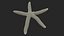 Red Starfish Lying Pose