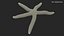 Red Starfish Lying Pose