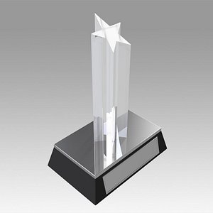 Award figurine Star Silver