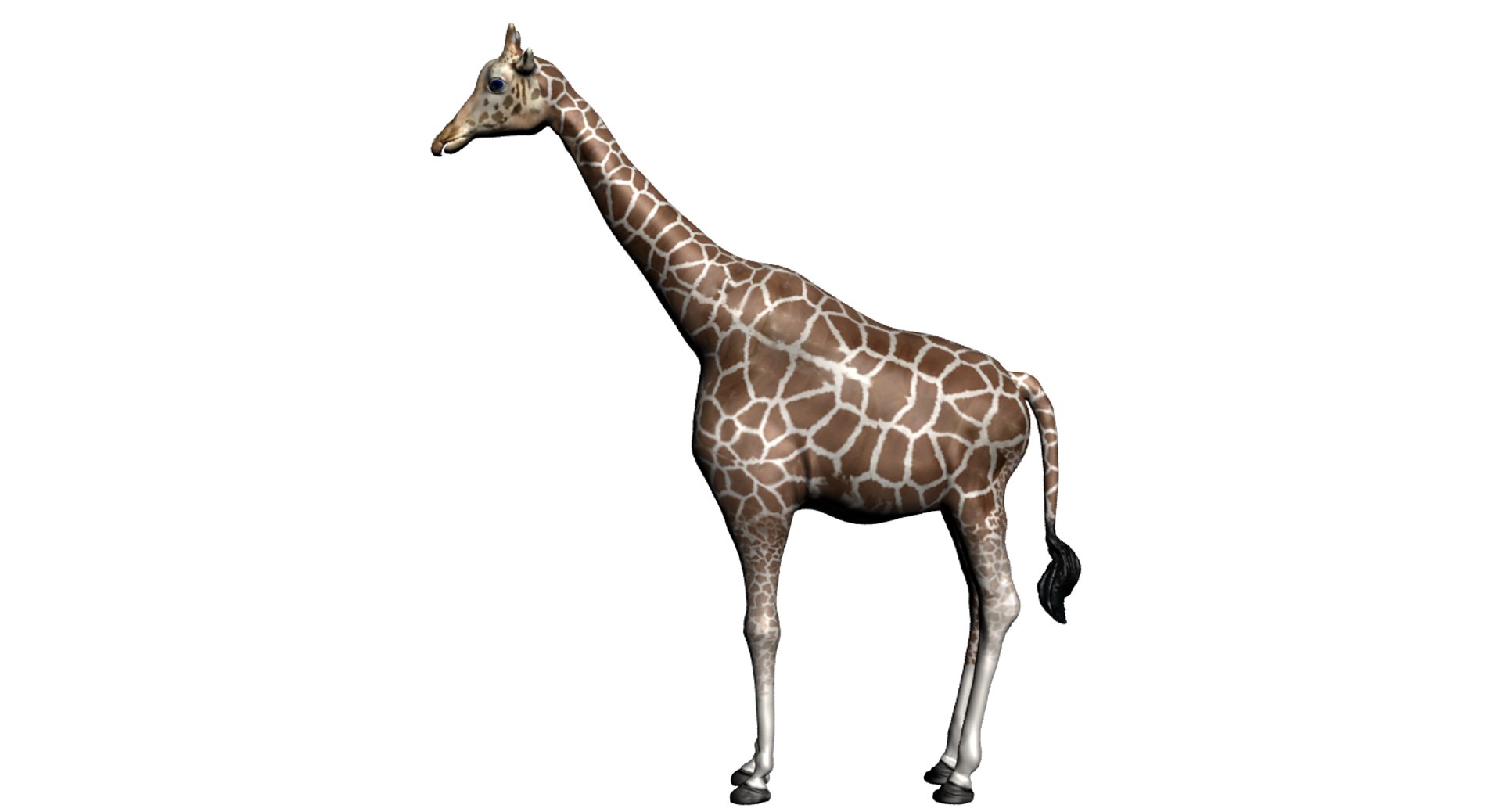 3d model giraffe https://p.turbosquid.com/ts-thumb/Qq/uxcWh1/GfZq2rV6/giraffeside/png/1456257205/1920x1080/fit_q87/9c79ef3e29a9dfae4963ddb2e38dc9036483709f/giraffeside.jpg