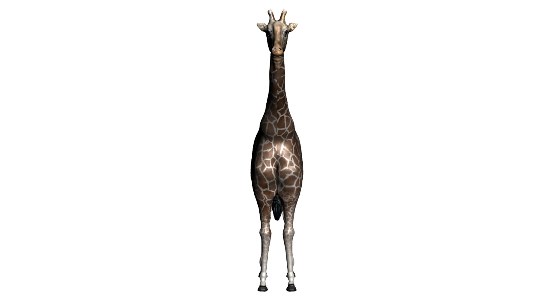 3d model giraffe https://p.turbosquid.com/ts-thumb/Qq/uxcWh1/HSXZUvgQ/giraffe_front/png/1456257231/1920x1080/fit_q87/bcabea94eceddc64e3d2a8a81d66f0623c30fb76/giraffe_front.jpg