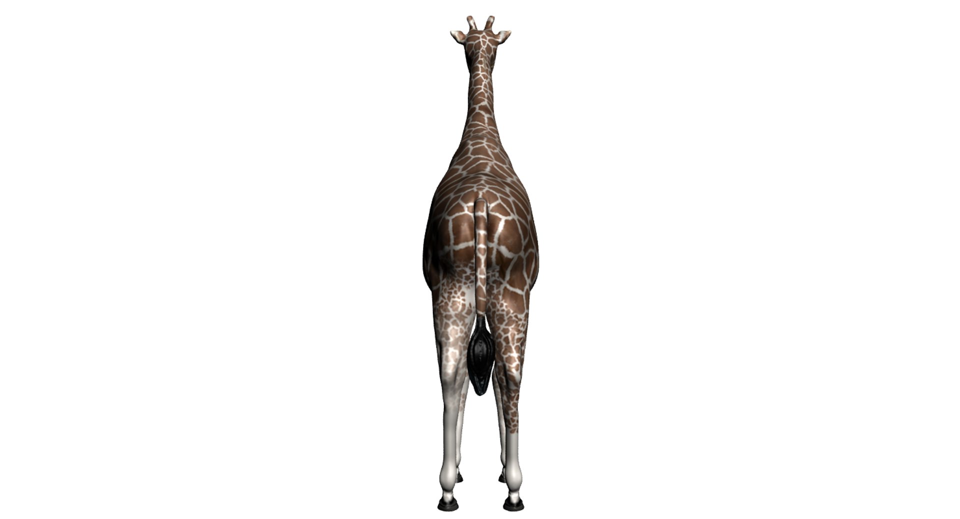 3d model giraffe https://p.turbosquid.com/ts-thumb/Qq/uxcWh1/XgNdwVjq/giraffeback/png/1456257329/1920x1080/fit_q87/c1ee49e5412a2685eeb8596b8695bea82f0c578a/giraffeback.jpg