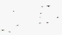 Many Flying Vultures Animated