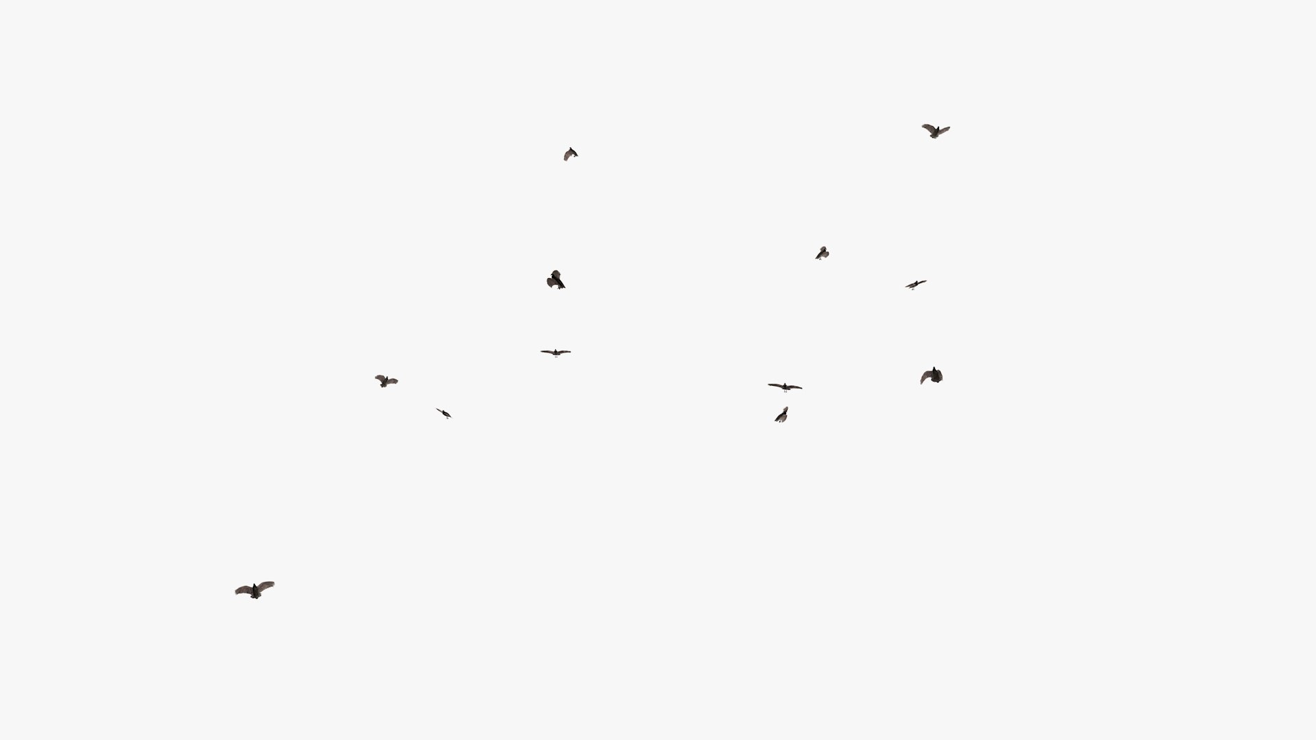 3D model group vultures flying https://p.turbosquid.com/ts-thumb/Qq/x5SXVW/7WqEIuk6/vulturesflyinggroup1_0001/jpg/1604328005/1920x1080/fit_q87/9e8f9b4a5eb50980fa6c075c20a618af452ab525/vulturesflyinggroup1_0001.jpg