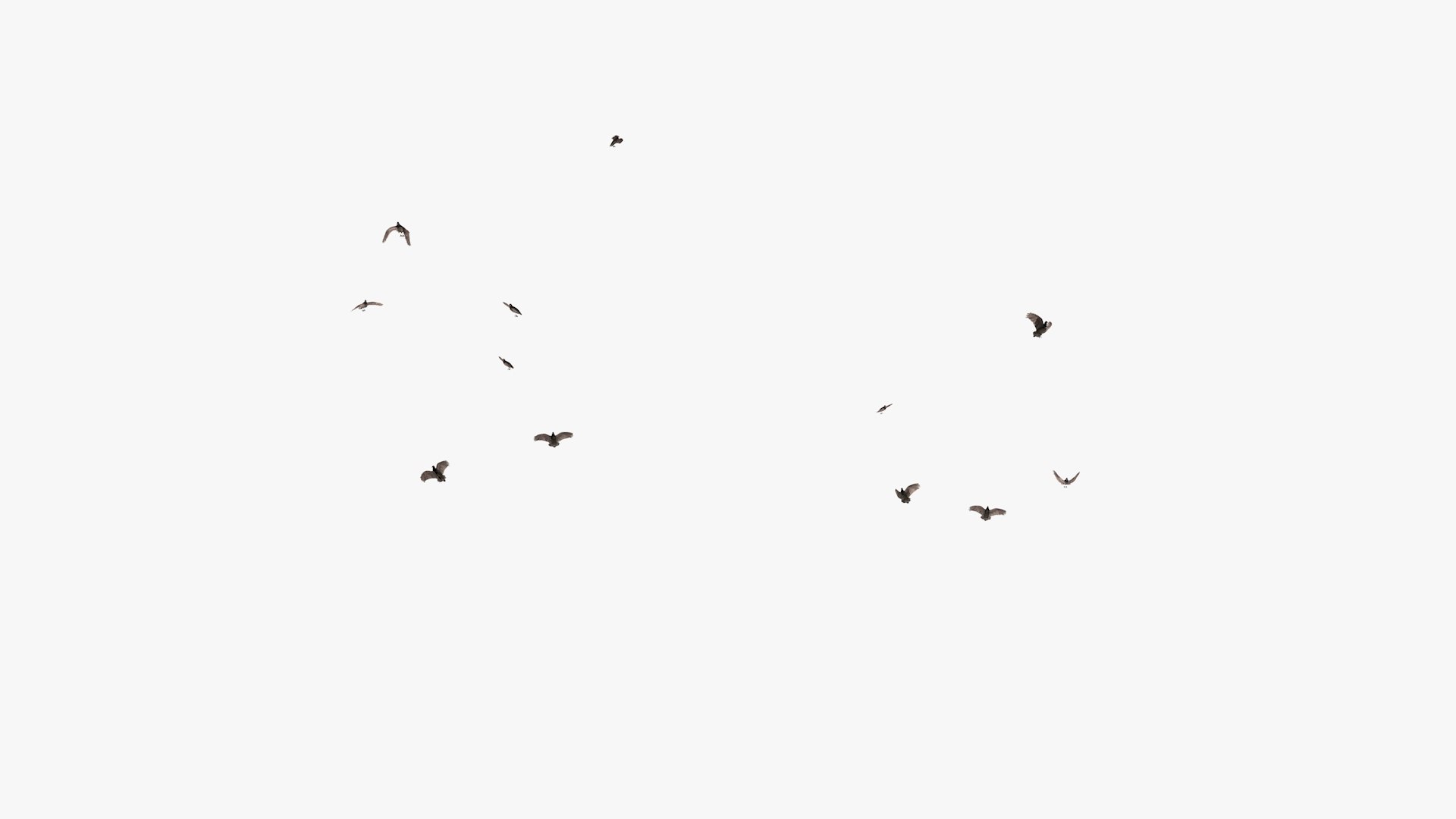 3D model group vultures flying https://p.turbosquid.com/ts-thumb/Qq/x5SXVW/9Je7XQ9F/vulturesflyinggroup1_0006/jpg/1604328005/1920x1080/fit_q87/2ba9f2318e3a071ebc78e85df7ab045759b8dc55/vulturesflyinggroup1_0006.jpg
