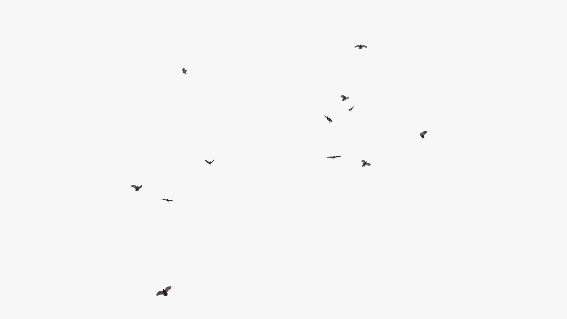 3D model group vultures flying https://p.turbosquid.com/ts-thumb/Qq/x5SXVW/GdRSPN3H/vulturesflyinggroup1_0012/jpg/1604328006/1920x1080/fit_q87/25d04c631e0b230567186a6f1dc54fc05a168c1b/vulturesflyinggroup1_0012.jpg