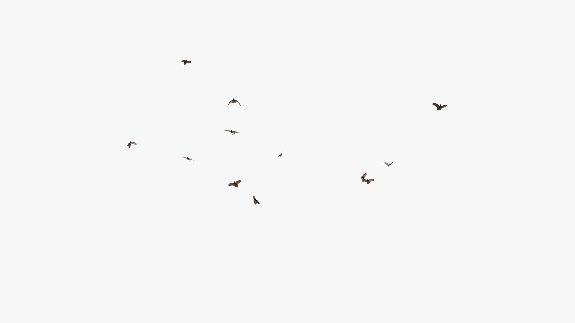 3D model group vultures flying https://p.turbosquid.com/ts-thumb/Qq/x5SXVW/KNvaOODF/vulturesflyinggroup1_0005/jpg/1604328005/1920x1080/fit_q87/6eefb0c44746107f4bbfe449cc885a1a3a508ed5/vulturesflyinggroup1_0005.jpg