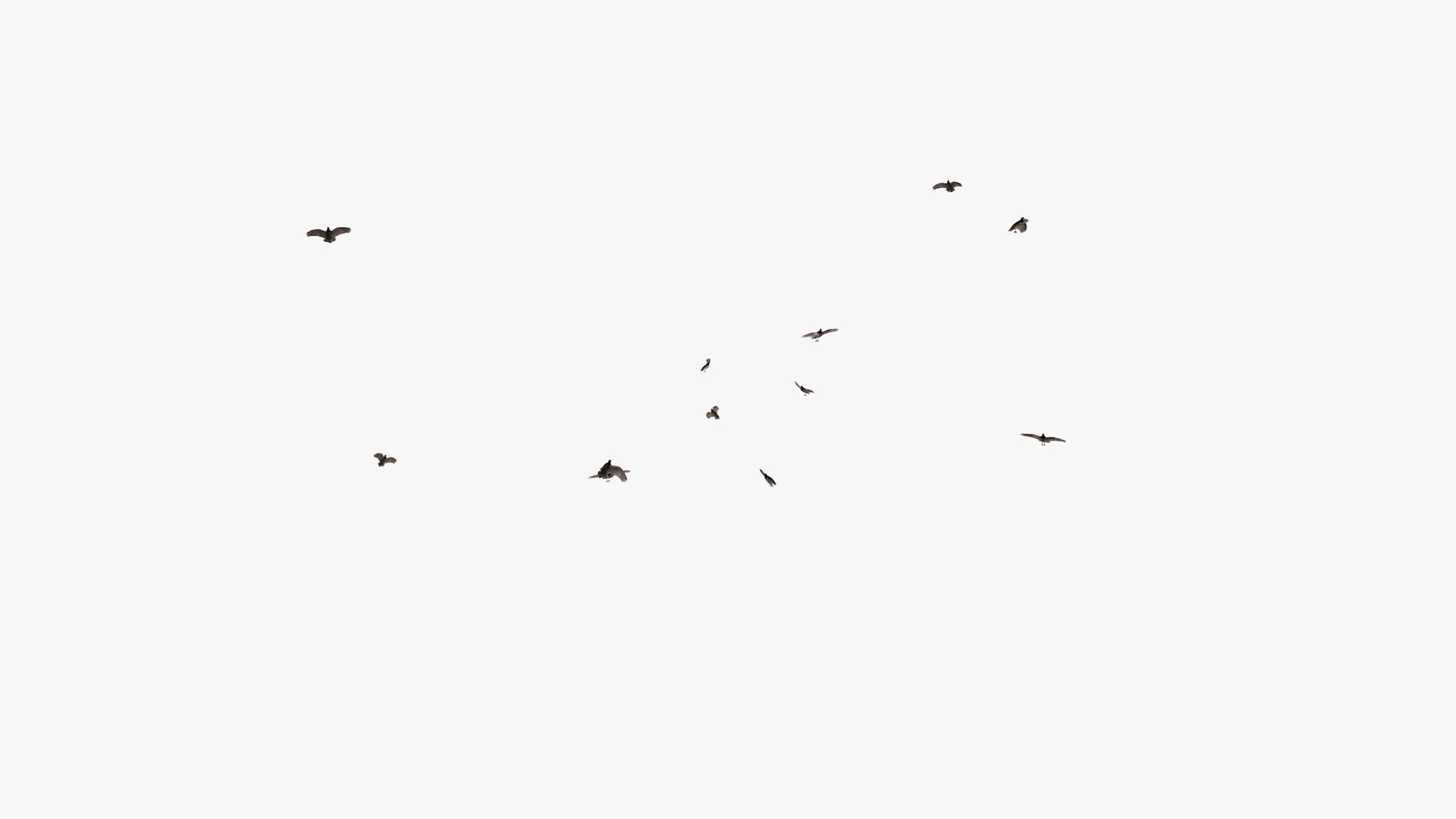 3D model group vultures flying https://p.turbosquid.com/ts-thumb/Qq/x5SXVW/TrTywARC/vulturesflyinggroup1_0003/jpg/1604328005/1920x1080/fit_q87/3f1e7ef94da9695c141a6ceee345db402ef691a4/vulturesflyinggroup1_0003.jpg