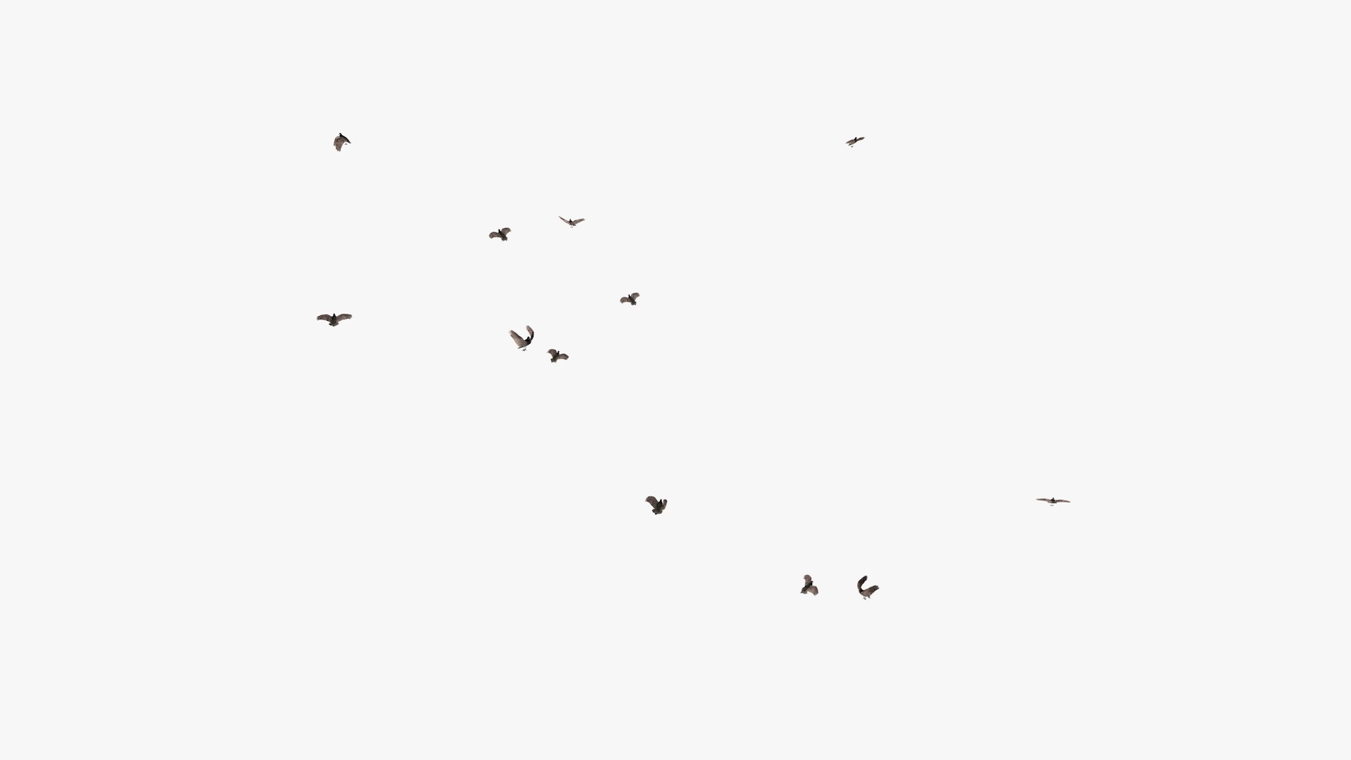 3D model group vultures flying https://p.turbosquid.com/ts-thumb/Qq/x5SXVW/WzaIz7fs/vulturesflyinggroup1_0008/jpg/1604328006/1920x1080/fit_q87/0acc8983dd6f3c2371b1e53493b0fff167fed9b7/vulturesflyinggroup1_0008.jpg
