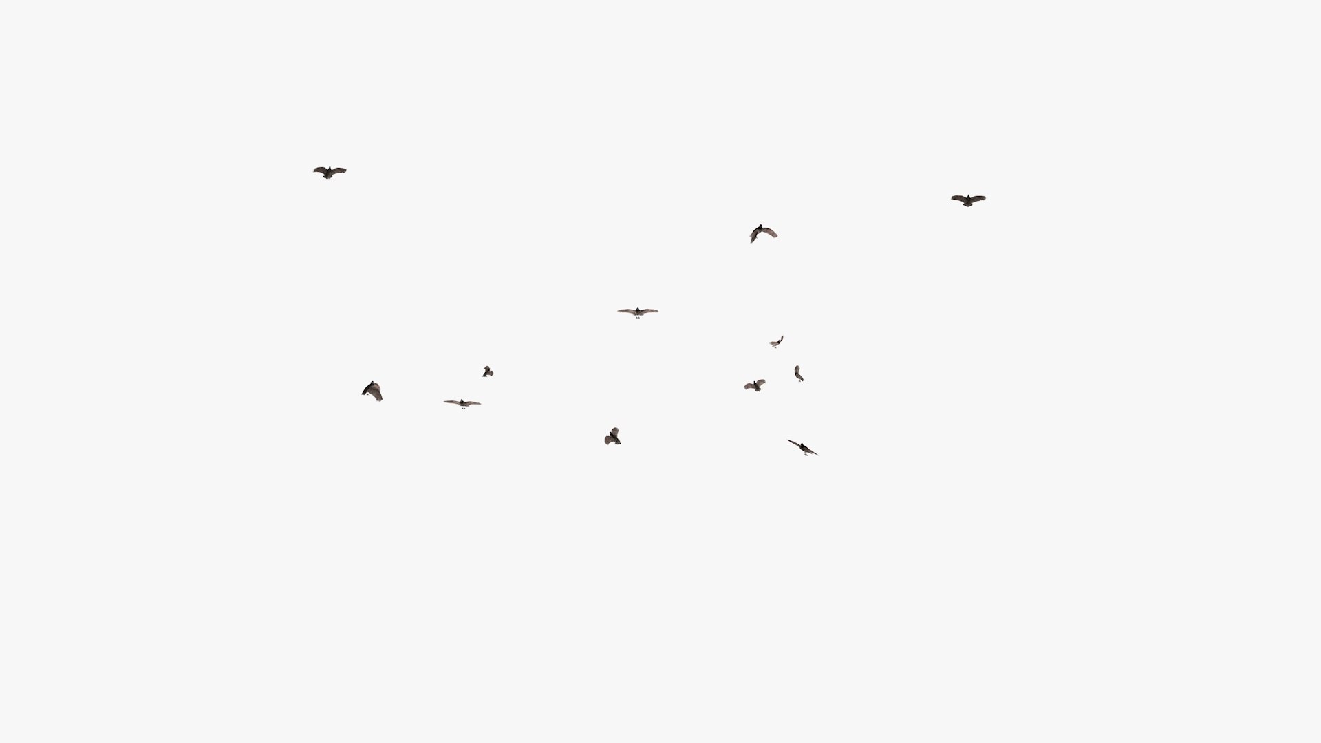 3D model group vultures flying https://p.turbosquid.com/ts-thumb/Qq/x5SXVW/XVmEA2BE/vulturesflyinggroup1_0004/jpg/1604328005/1920x1080/fit_q87/3a8282ecd774d25a2f9f2afdd2f8a0b7f9efd122/vulturesflyinggroup1_0004.jpg