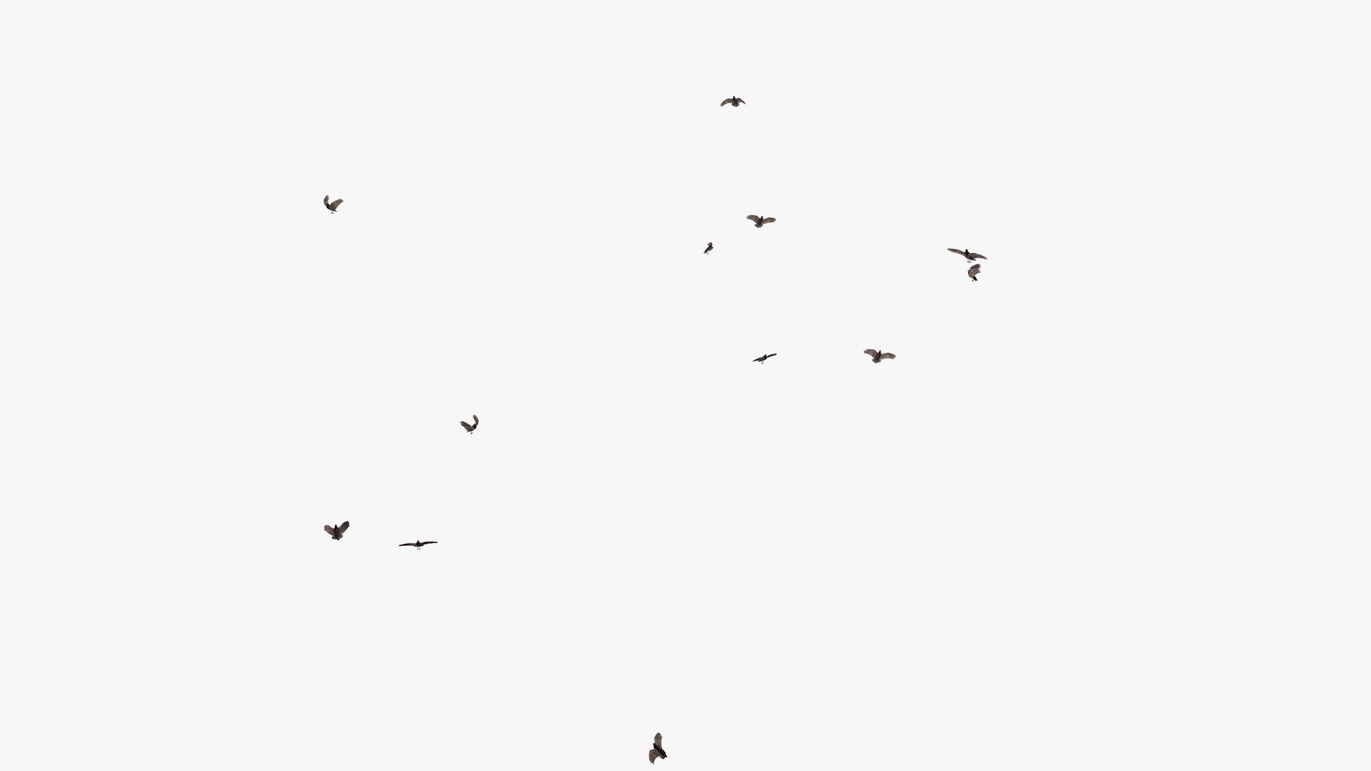 3D model group vultures flying https://p.turbosquid.com/ts-thumb/Qq/x5SXVW/iPSHcf8W/vulturesflyinggroup1_0011/jpg/1604328006/1920x1080/fit_q87/6412d4c8a30f4d6145cfa7d6a9b035890bff3964/vulturesflyinggroup1_0011.jpg