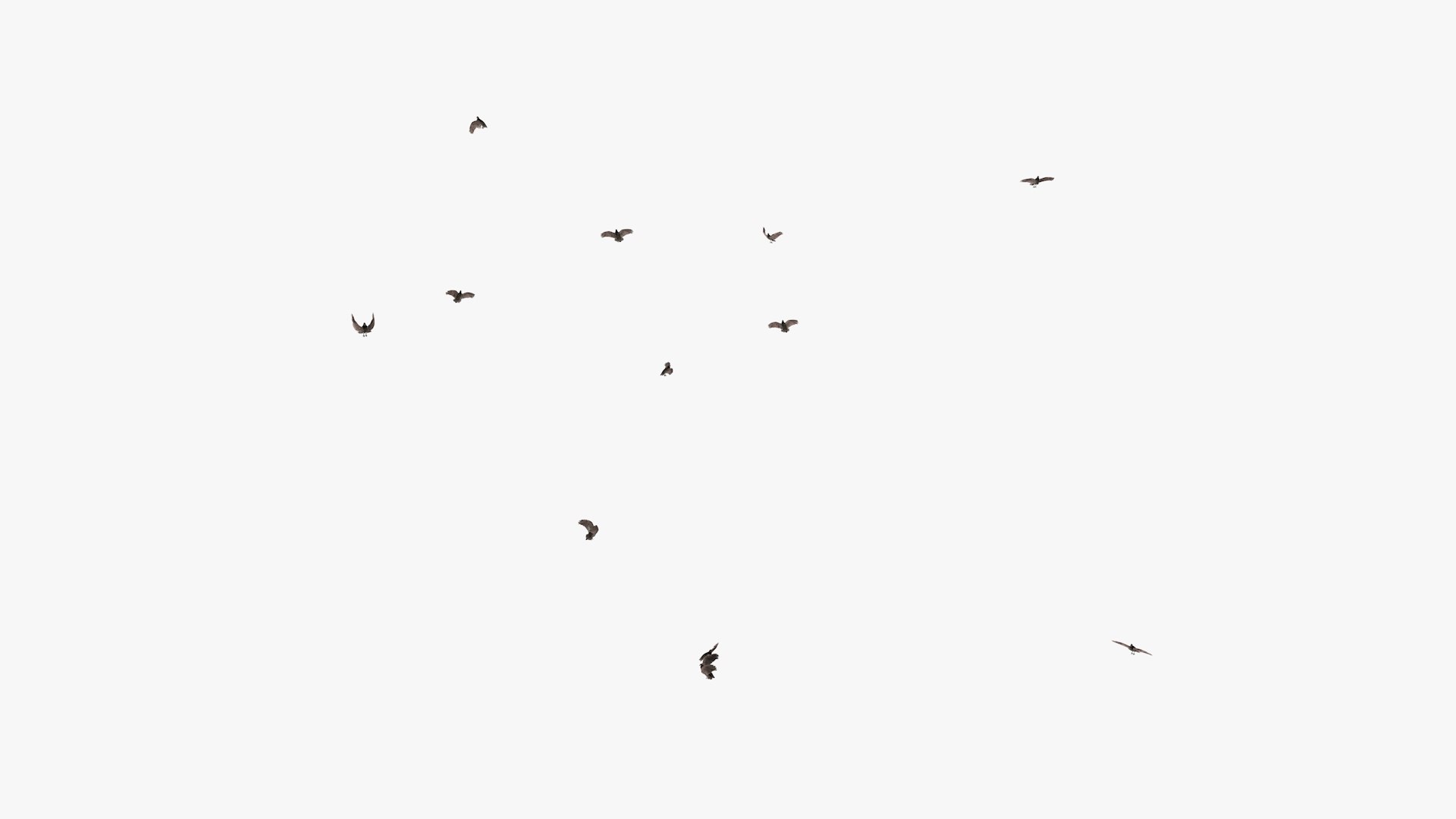 3D model group vultures flying https://p.turbosquid.com/ts-thumb/Qq/x5SXVW/nDU5iZsS/vulturesflyinggroup1_0009/jpg/1604328006/1920x1080/fit_q87/5925511b812ca9b0b3af125d4e4e01cf1764b02b/vulturesflyinggroup1_0009.jpg