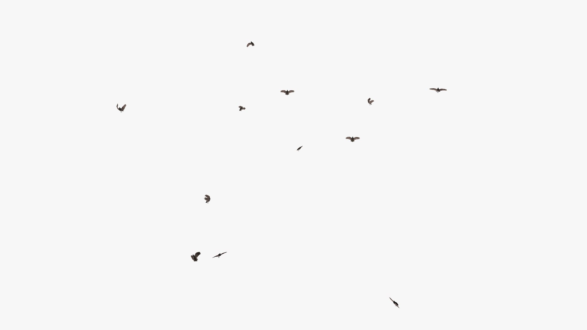 3D model group vultures flying https://p.turbosquid.com/ts-thumb/Qq/x5SXVW/uDrHFZST/vulturesflyinggroup1_0010/jpg/1604328006/1920x1080/fit_q87/6242923763a22c59aa7e4940949c4046560c1c29/vulturesflyinggroup1_0010.jpg
