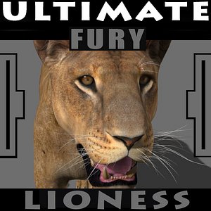 3d model lioness fur