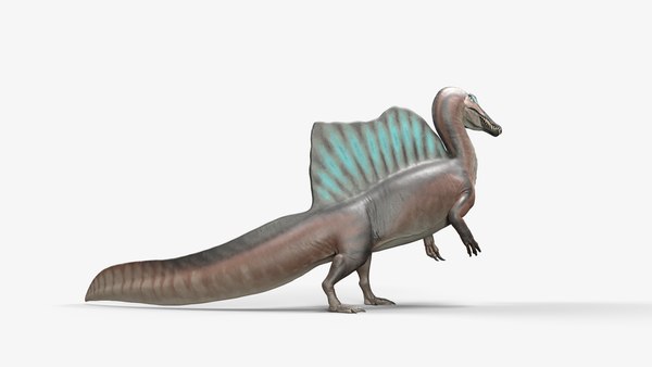 スピノサウルス・エジプティアクス - 装備3Dモデル - TurboSquid