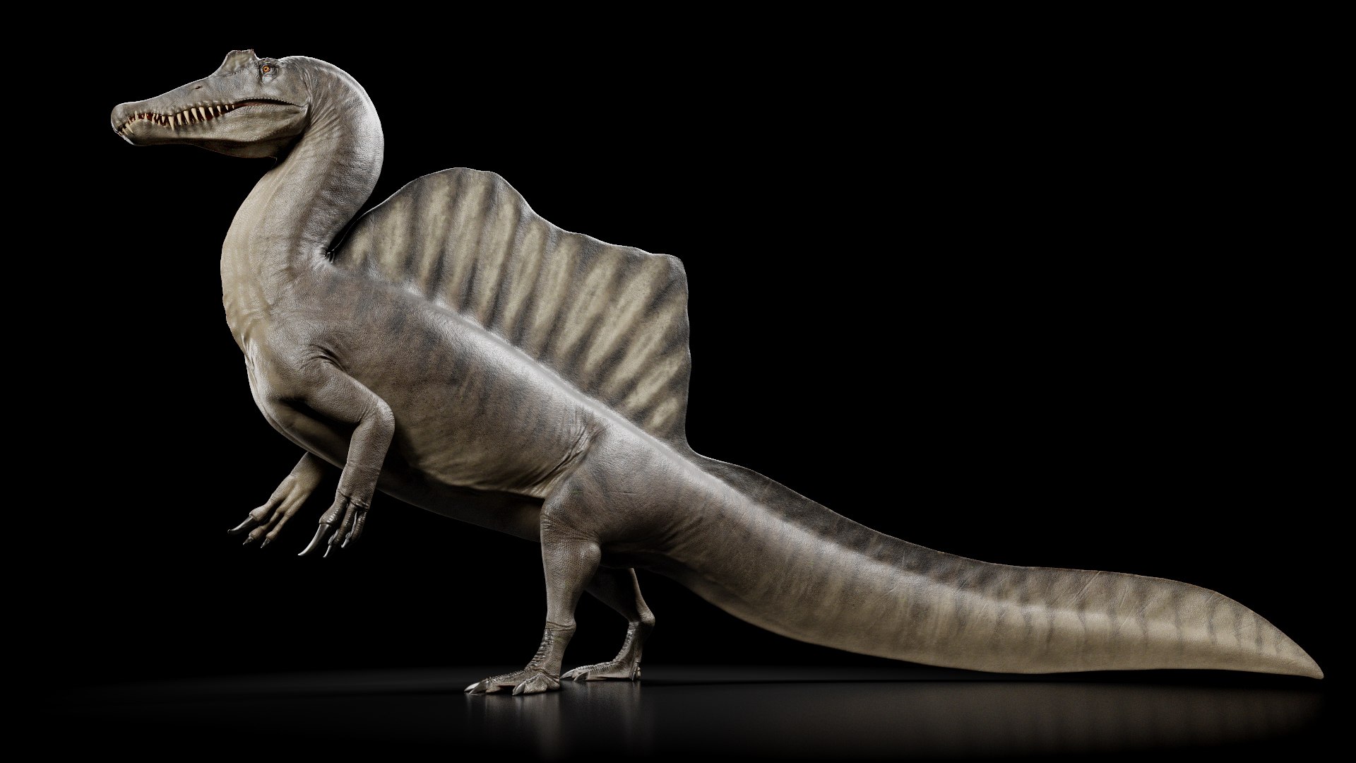 3D Spinosaurus Aegyptiacus - Rigged - TurboSquid 1898061