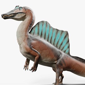 3D Spinosaurus Aegyptiacus - Rigged