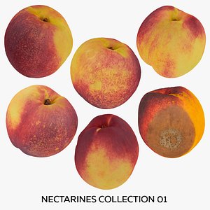 Nectarines Collection 01 - 6 models RAW Scans 3D model