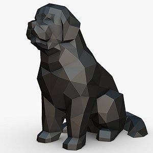 newfoundland terre neuve