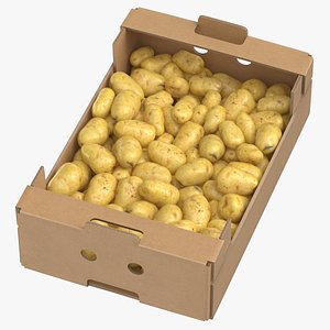 cardboard display box 02 3D model