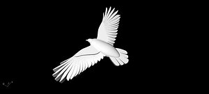 crow 3d obj