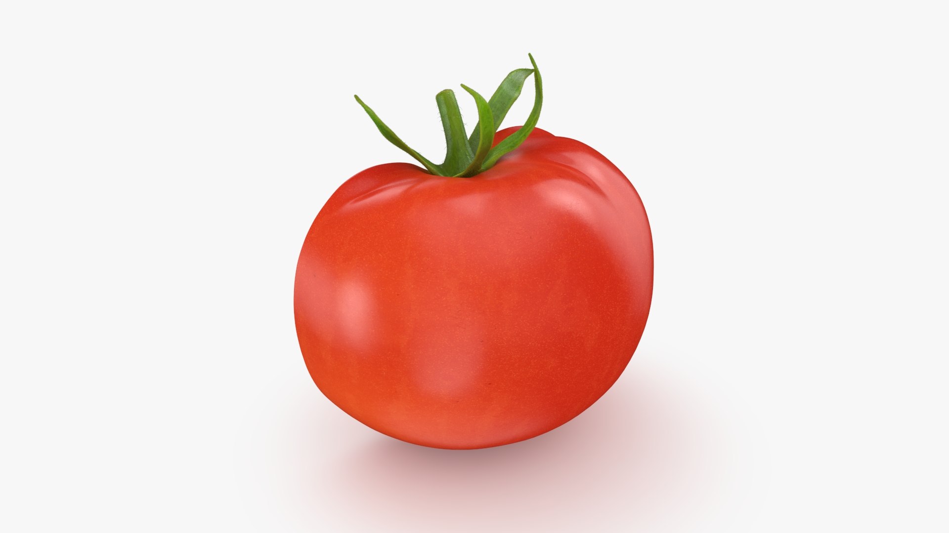 3D Tomato Half https://p.turbosquid.com/ts-thumb/Qs/1rzKcX/45/halftomato_b0002/jpg/1741521165/1920x1080/fit_q87/e73503c874eac64a5acadf4c1482fb6402e37f28/halftomato_b0002.jpg