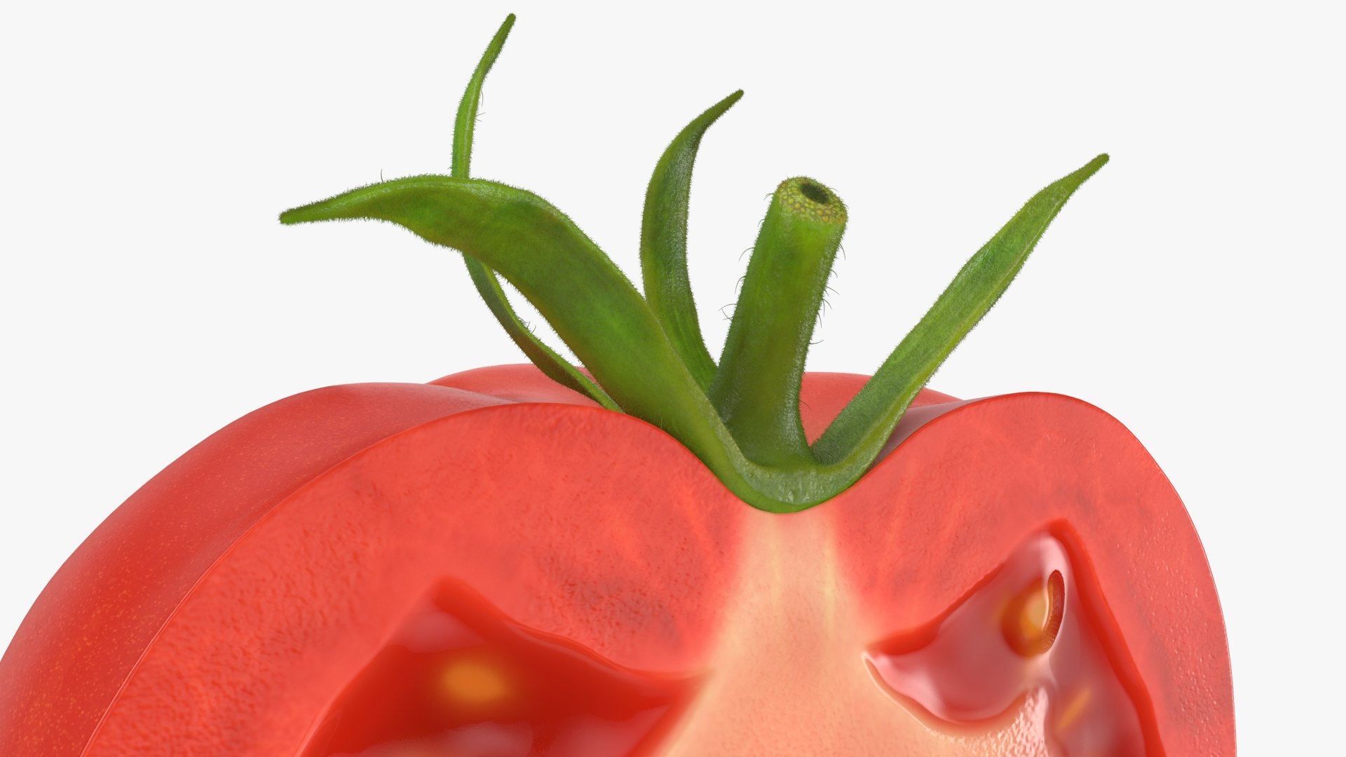 3D Tomato Half https://p.turbosquid.com/ts-thumb/Qs/1rzKcX/Zw/halftomato_b0024/jpg/1741521173/1920x1080/fit_q87/8e765b948b05c6310740d3c06ab4306583f84f5e/halftomato_b0024.jpg