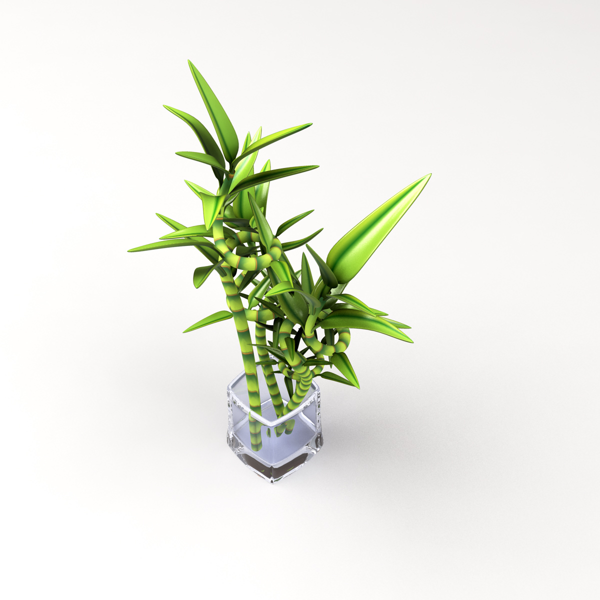 3d Model Bamboo Glass Vase