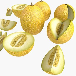 Melon White Yellow Fruit Market Store Shop Convenience General Grocery Greengrocery Detail Prop Fair Plantation Jungle South Plant Garden Greenhouse