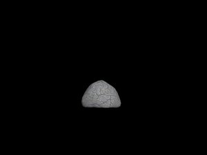 Single Rounded Rock