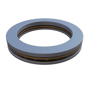 3D model Thrust bearing - Tapered type