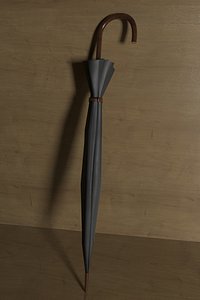 Long Closed Umbrella