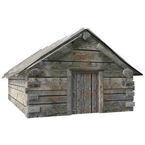 3D Wooden old raw cellar