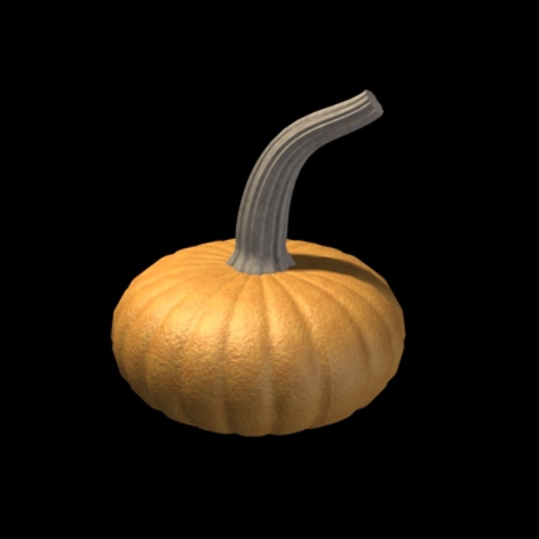 max halloween pumpkin https://p.turbosquid.com/ts-thumb/Qs/l9JWtW/rJuraPLo/pumpkins_2/jpg/1005098897/1920x1080/fit_q87/ed3c7f1ec20f686b33e0e5e1ba1308249ede0a14/pumpkins_2.jpg