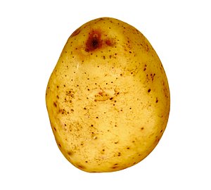 Potato - 8K UHD 3D