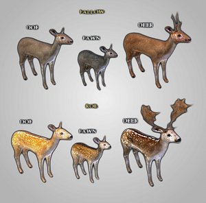 3d x package deer