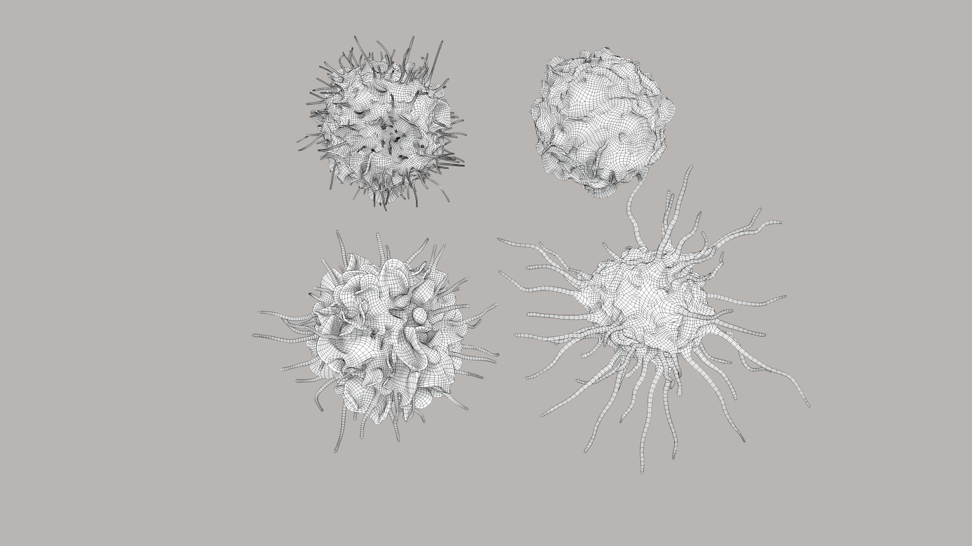 3D Dendritic Cells https://p.turbosquid.com/ts-thumb/Qs/pcrYIu/2y/dendriticcell_360_outline/jpg/1713191013/1920x1080/turn_fit_q99/366b15a0d8c7b10478da95c8d7ba19027866de05/dendriticcell_360_outline-1.jpg