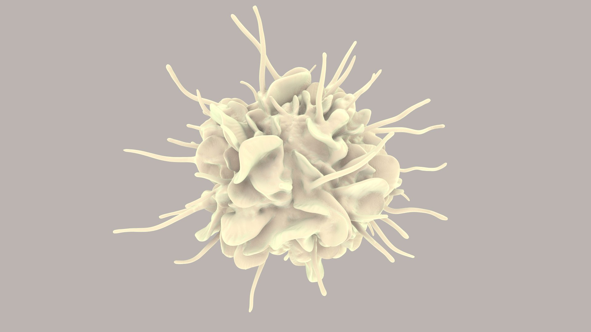3D Dendritic Cells https://p.turbosquid.com/ts-thumb/Qs/pcrYIu/4l/dendriticcell_im_0013/jpg/1713190570/1920x1080/fit_q87/7154379c014c25a4ce31b32707c8835977e43561/dendriticcell_im_0013.jpg